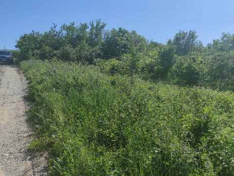 Plac Prodaja Novi Sad  6250 m2