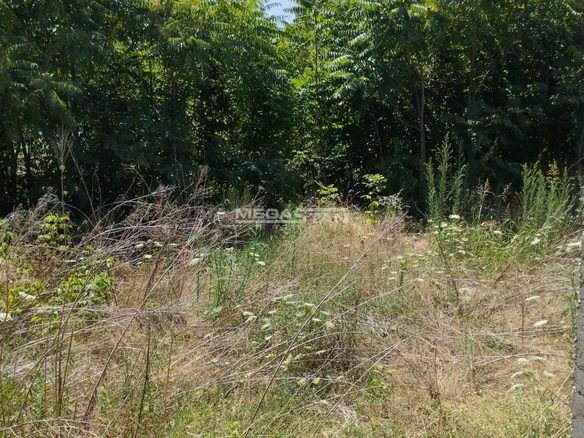 Plac Prodaja Beograd Krnjača 0 m2