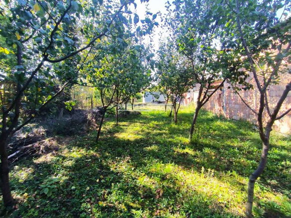 Plac Prodaja Pančevo  0 m2