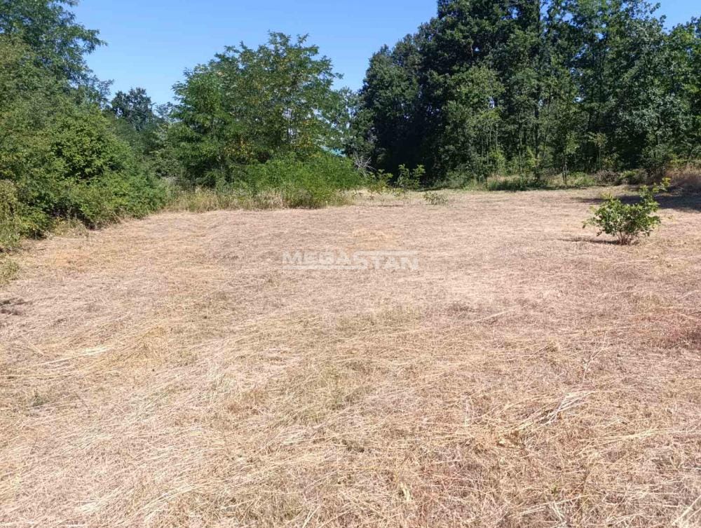 Plac Prodaja Beograd Vranić 0 m2