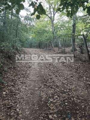 Plac Prodaja Beograd Plac Prodaja Beograd Šiljakovac 0 m2
