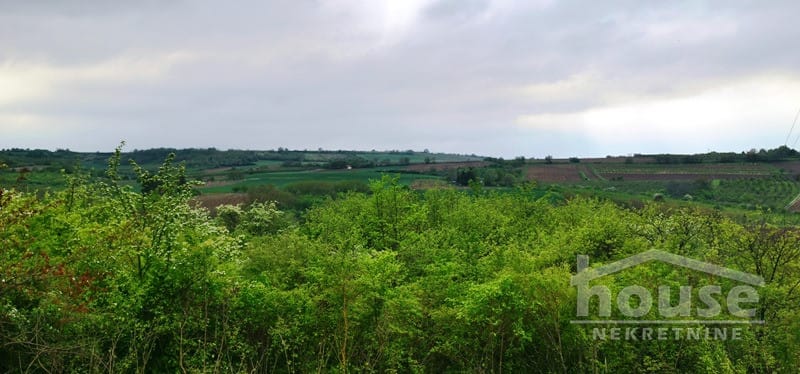 Plac Prodaja Novi Sad Plac Prodaja Novi Sad 1708 m2