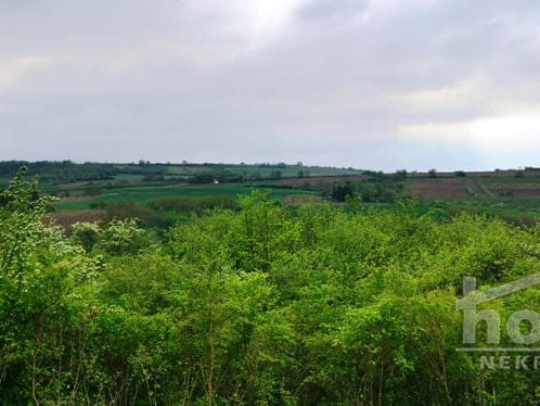 Plac Prodaja Novi Sad  1708 m2