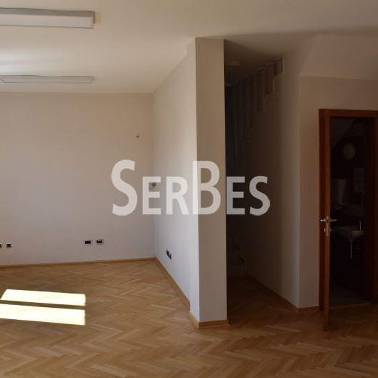 Lokal Izdavanje Novi Sad  185 m2