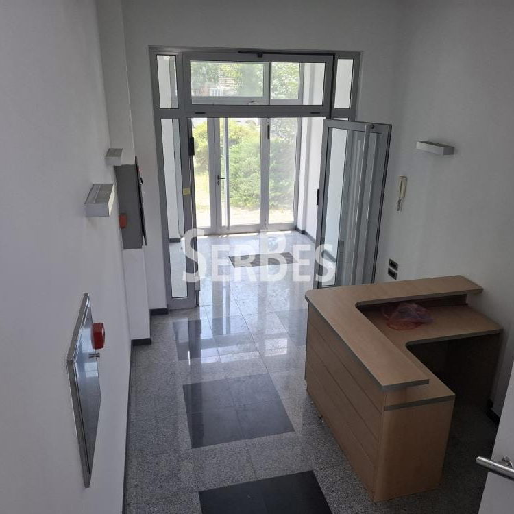 Lokal Prodaja Novi Sad  736 m2