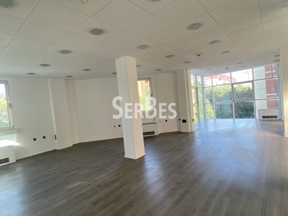 Lokal Izdavanje Novi Sad  352 m2