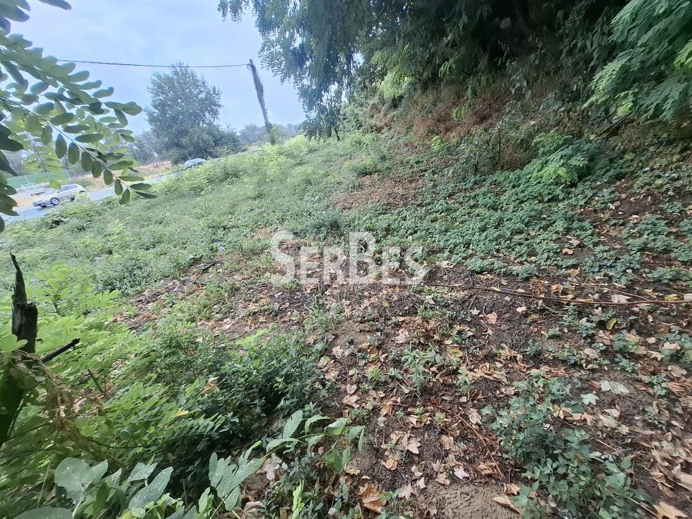 Plac Prodaja Sremski Karlovci Plac Prodaja Sremski Karlovci 0 m2