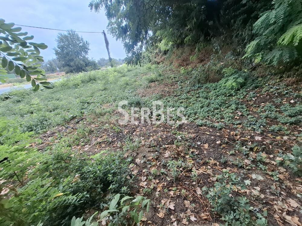 Plac Prodaja Sremski Karlovci Plac Prodaja Sremski Karlovci 0 m2