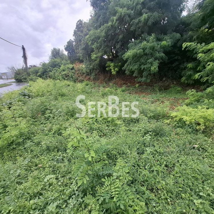 Plac Prodaja Sremski Karlovci  0 m2