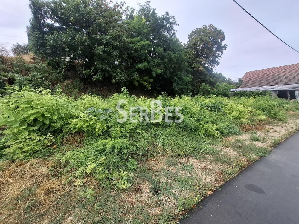 Plac Prodaja Sremski Karlovci Plac Prodaja Sremski Karlovci 0 m2