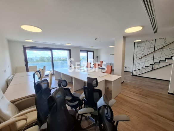 Lokal Izdavanje Novi Sad  314 m2