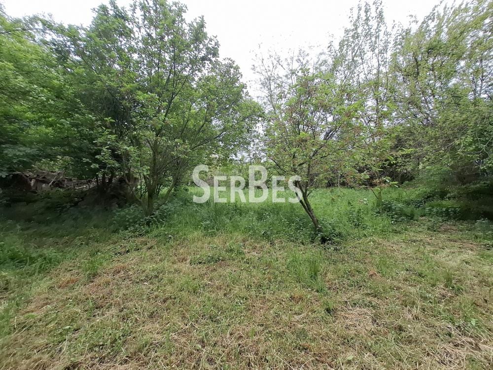 Plac Prodaja Beočin Plac Prodaja Beočin 0 m2