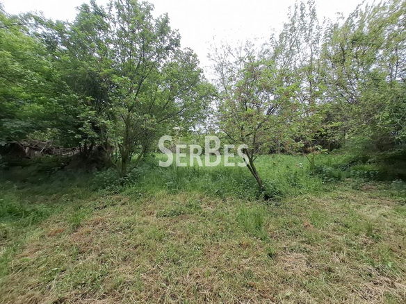 Plac Prodaja Beočin  0 m2