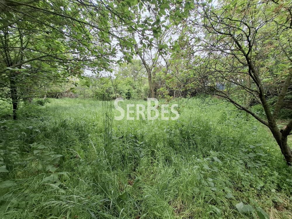Plac Prodaja Beočin Plac Prodaja Beočin 0 m2