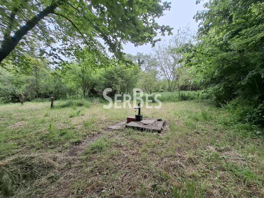 Plac Prodaja Beočin Plac Prodaja Beočin 0 m2