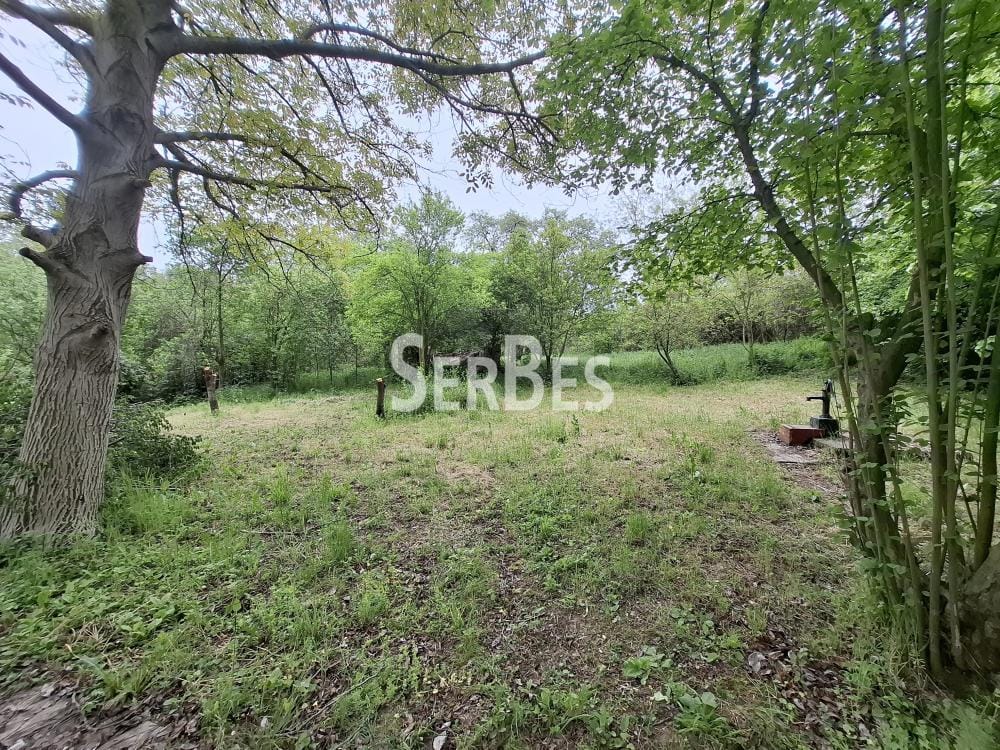 Plac Prodaja Beočin Plac Prodaja Beočin 0 m2