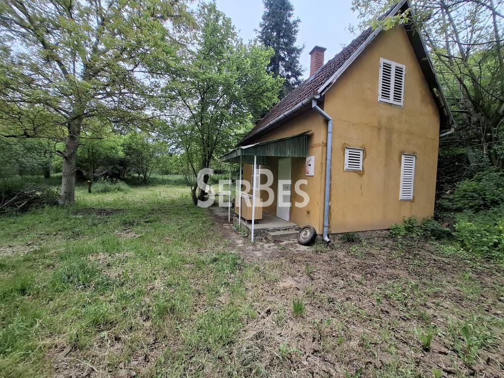 Plac Prodaja Beočin Plac Prodaja Beočin 0 m2
