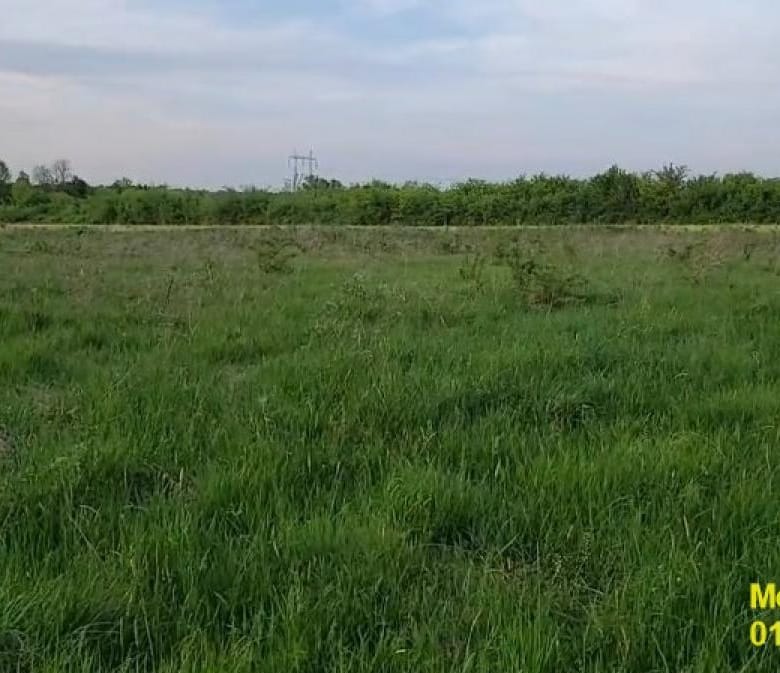 Plac na prodaju, Draževac, Beograd, 54,73 ari, 40.500 €