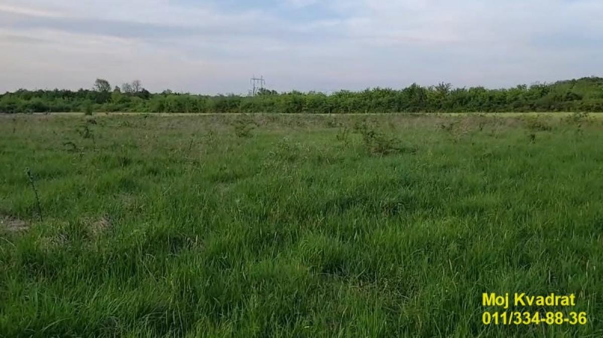 Plac Prodaja Beograd Plac Prodaja Beograd Draževac 0 m2