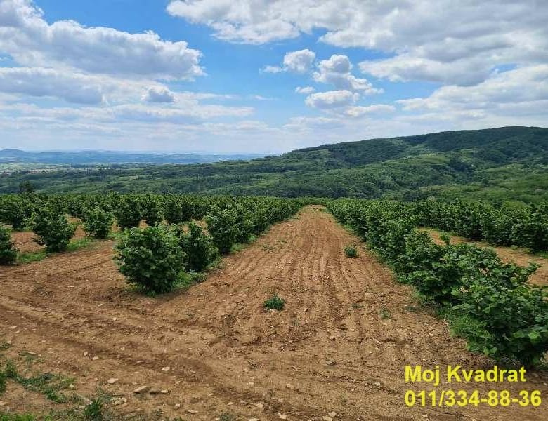 Plac na prodaju, Koraćica, Beograd, 900 ari, 2.250.000 €
