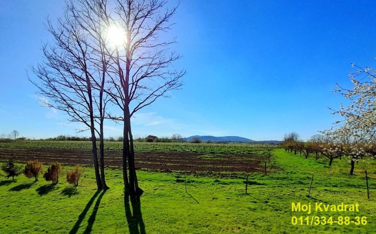 Plac Prodaja Beograd Plac Prodaja Beograd Mala Vrbica 0 m2