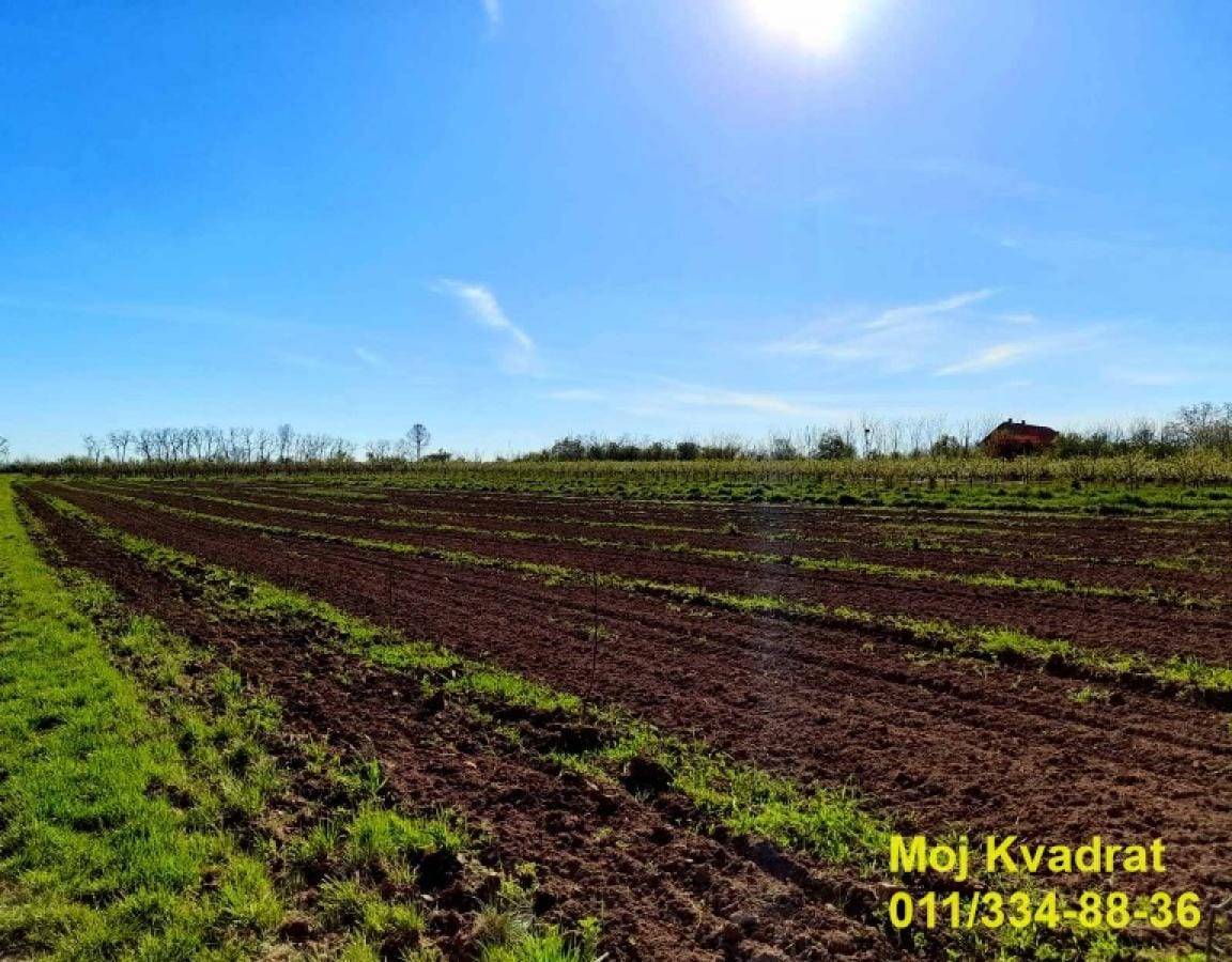 Plac Prodaja Beograd Plac Prodaja Beograd Mala Vrbica 0 m2