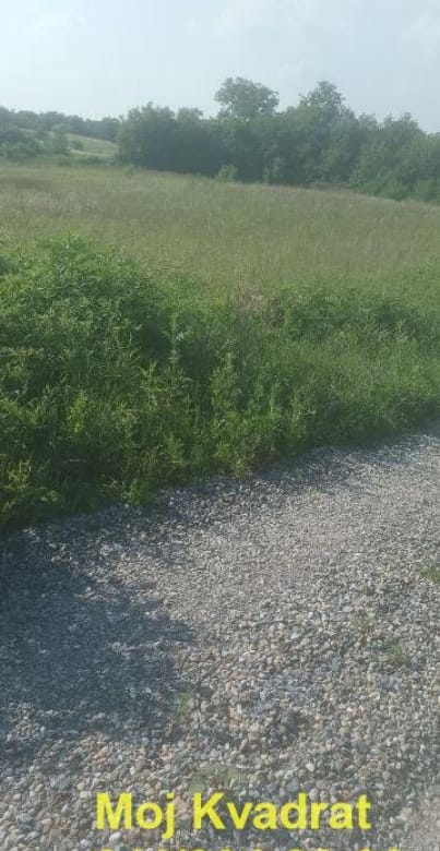 Plac na prodaju, Avala, Beograd, 86,57 ari, 156.000 €