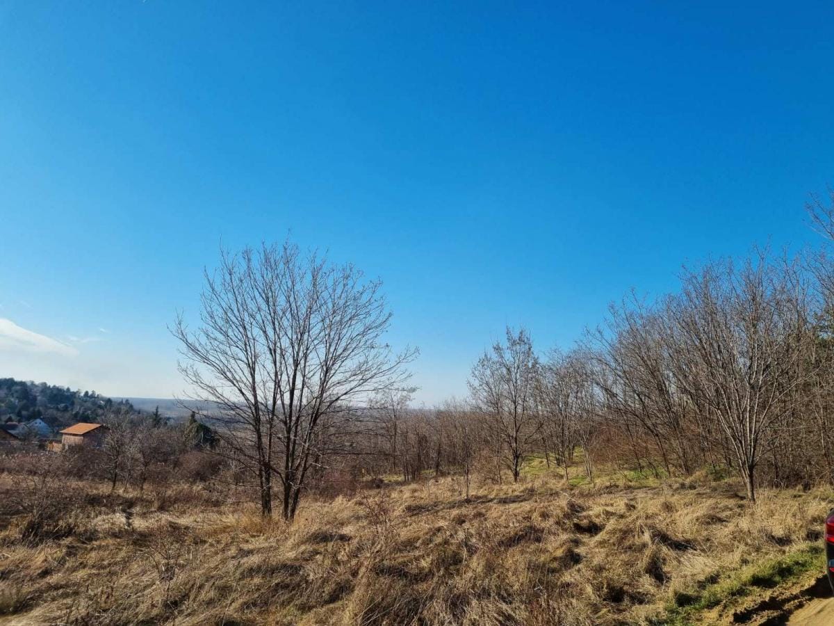 Plac Prodaja Novi Sad  0 m2