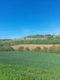 Plac Prodaja Sremski Karlovci  0 m2