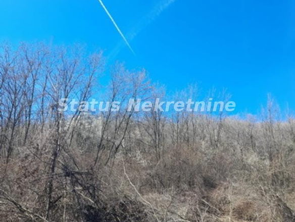 Plac Prodaja Sremski Karlovci  0 m2