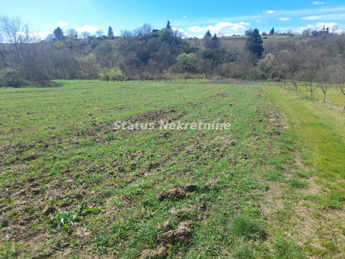 Plac Prodaja Beočin Plac Prodaja Beočin 0 m2