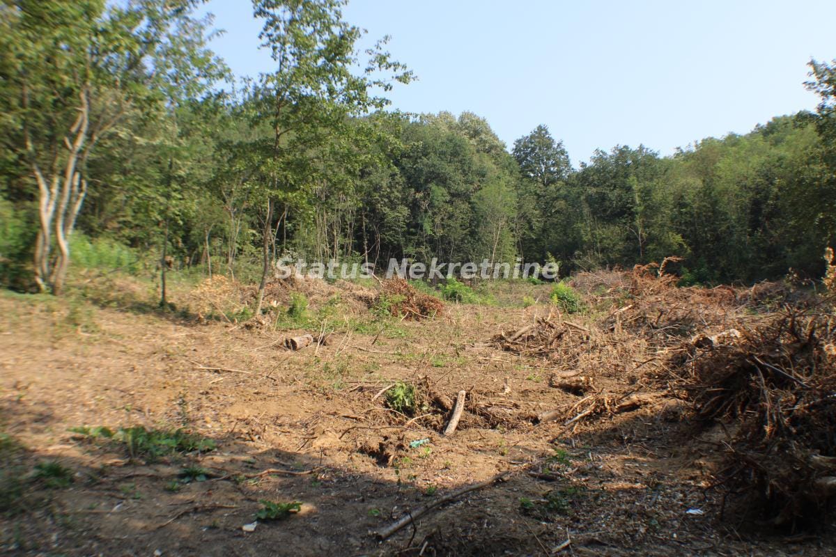 Plac Prodaja Beočin Plac Prodaja Beočin 0 m2