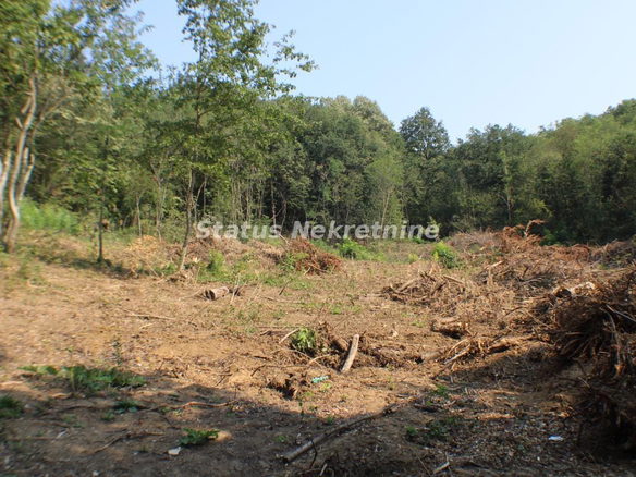 Plac Prodaja Beočin  0 m2