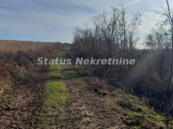 Plac Prodaja Beočin  0 m2