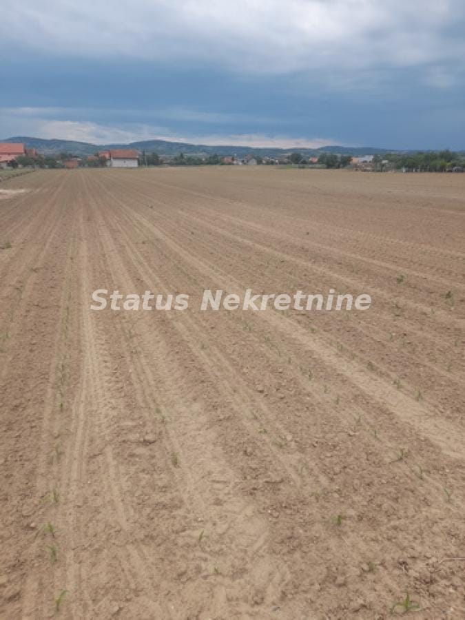 Plac Prodaja Novi Sad Plac Prodaja Novi Sad 0 m2