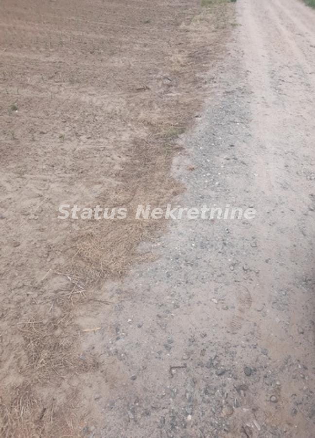 Plac Prodaja Novi Sad Plac Prodaja Novi Sad 0 m2