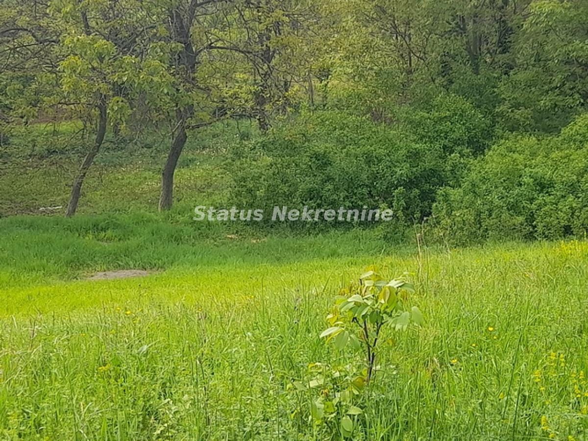 Plac Prodaja Novi Sad  0 m2