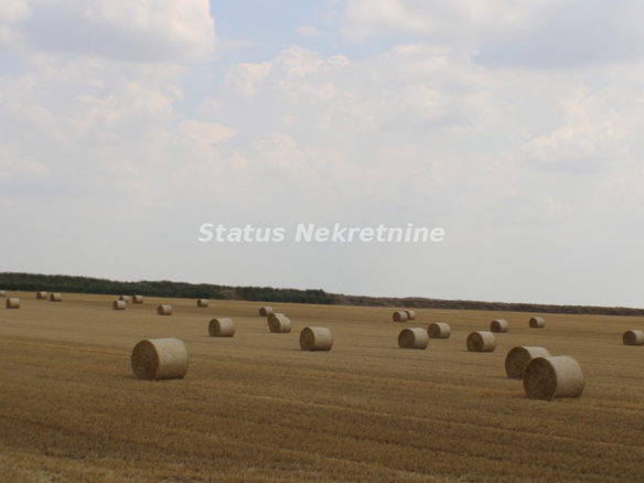 Plac Prodaja Žabalj  0 m2