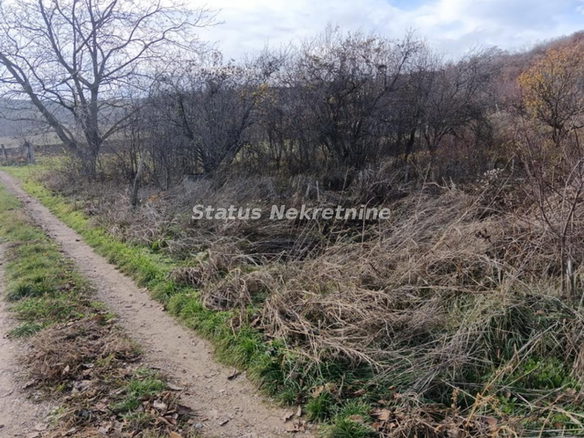Plac Prodaja Sremski Karlovci  0 m2