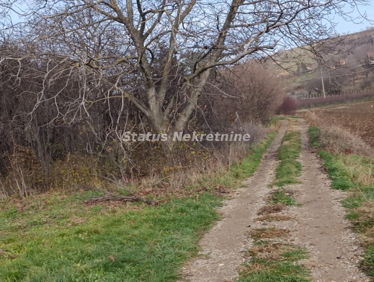 Plac Prodaja Sremski Karlovci  0 m2