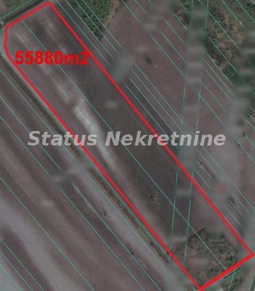 Plac na prodaju, Klisa, Novi Sad, 540 ari, 2.884.000 €