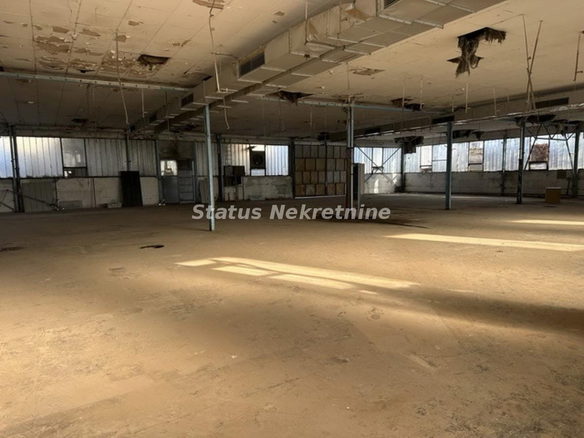 Lokal Izdavanje Novi Sad  300 m2