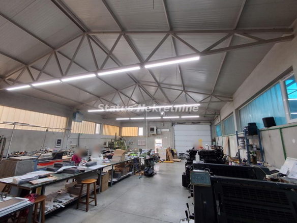 Lokal Izdavanje Novi Sad  770 m2