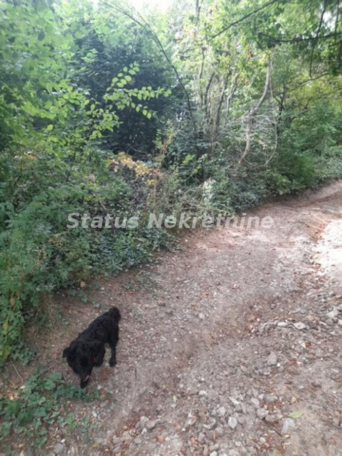 Plac Prodaja Sremski Karlovci Plac Prodaja Sremski Karlovci 0 m2