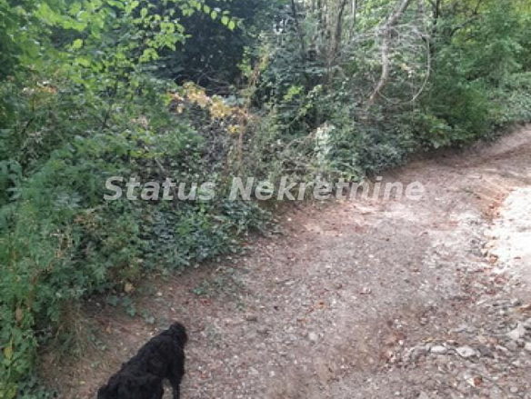 Plac Prodaja Sremski Karlovci  0 m2