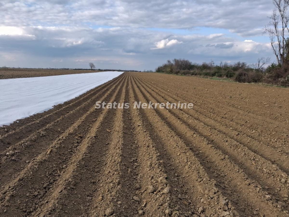 Plac Prodaja Novi Sad Plac Prodaja Novi Sad 12710 m2