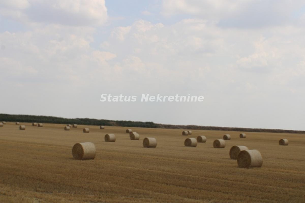 Plac Prodaja Novi Sad Plac Prodaja Novi Sad 0 m2