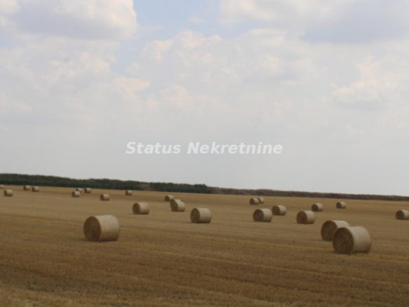 Plac Prodaja Novi Sad  0 m2