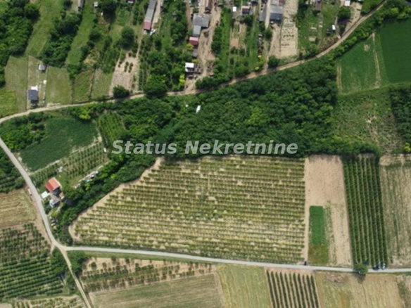 Plac Prodaja Irig  0 m2