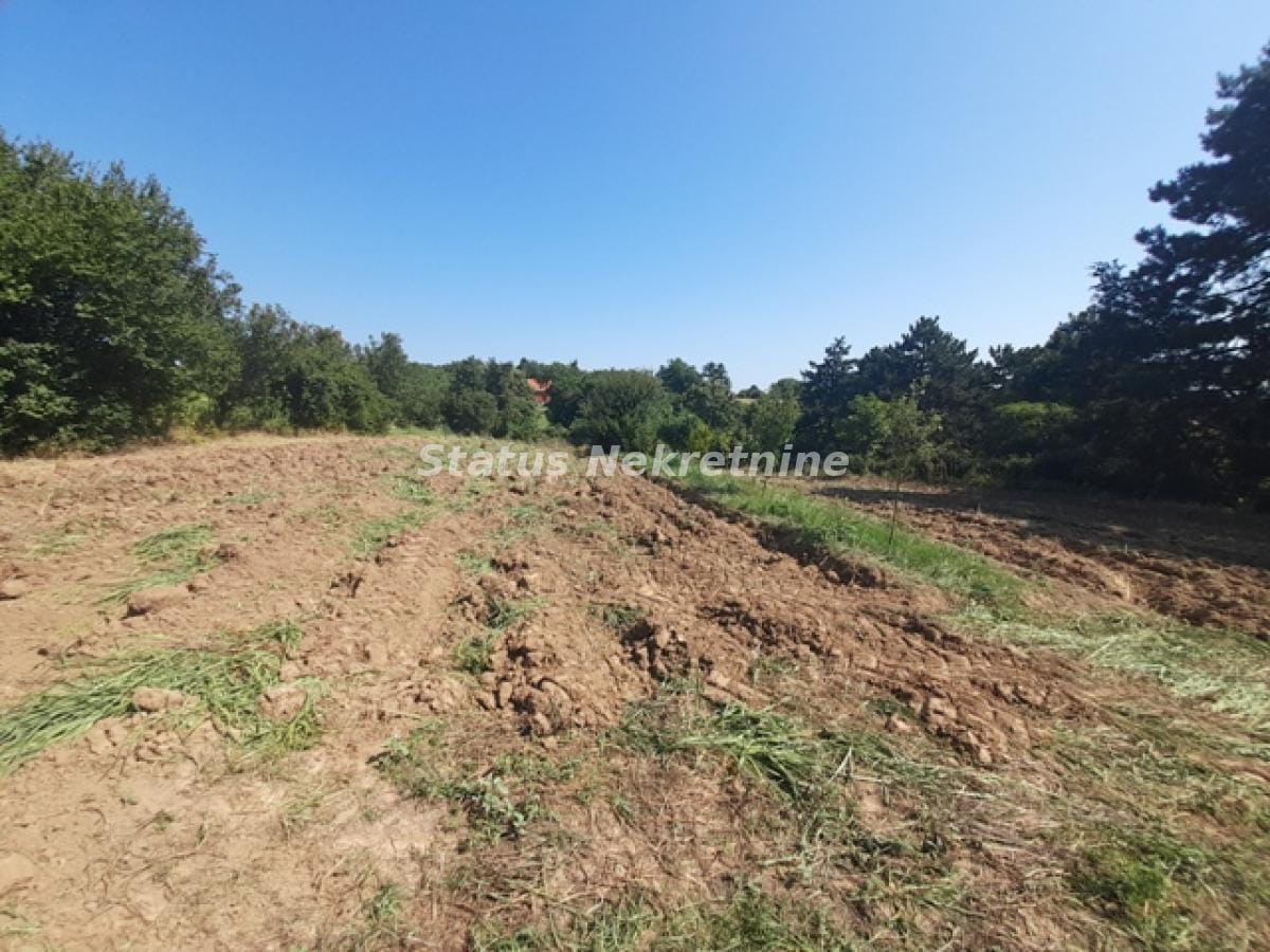 Plac Prodaja Inđija Plac Prodaja Inđija 0 m2